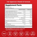 NutraChamps Vitamin B Complex Liquid Drops | B Vitamins Complex Supplement with B1, B2, B3, B6, B7, B9 & Methyl B12 Drops for Adults & Kids | Vegan Berry Flavor 2oz | 60 Servings / 2 Month Supply