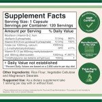 Methylated Multivitamin (Methylated and Activated Vitamins Only - B Complex with Trimethylglycine (TMG) and Methylfolate)(Non-GMO, Gluten Free MTHFR Supplement) 120 Capsules by Double Wood