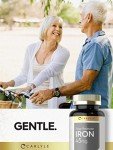 Carlyle Slow Release Iron 45 mg | 180 Tablets | Vegetarian, Non-GMO, and Gluten Free Formula | Ferrous Sulfate Mineral Supplement