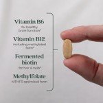 New Chapter Vitamin B Complex, Fermented Vitamin B Complex, USDA Organic, ONE Daily for Cellular Energy + Brain + Beauty, 100% Vegan, Gluten-Free - 90 Count