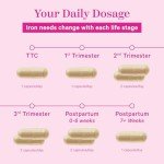 Pink Stork Prenatal Iron Supplement for Women - 18 mg Non-Constipating Iron & Vitamin C for Pregnancy, Postpartum, & Breastfeeding - Focus, Fatigue, & Blood Cell Production - 2 Month Supply