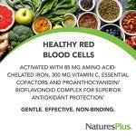 NaturesPlus Hema-Plex Iron - 60 Fast-Acting Softgels - 2 Pack - 85 mg Iron + Vitamin C & Bioflavonoids for Healthy Red Blood Cells - Vegan, Gluten Free - 40 Total Servings