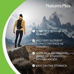 NaturesPlus Hema-Plex Iron - 60 Fast-Acting Softgels - 2 Pack - 85 mg Iron + Vitamin C & Bioflavonoids for Healthy Red Blood Cells - Vegan, Gluten Free - 40 Total Servings