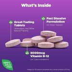 Natrol Vitamin B12 5,000 mcg, Fast Dissolve Vitamin B12 Supplement Supports a Healthy Nervous System and Energy Metabolism, 200 Tablets, Up to a 200 Day Supply