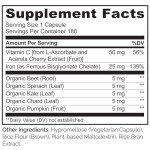 NATURELO Vegan Iron Supplement with Vitamin C and Organic Whole Foods - Gentle Iron Pills for Women & Men with Iron Deficiency Including Pregnancy, Anemia and Vegan Diets - 180 Mini Capsules