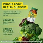 MegaFood Balanced B Complex - B Complex Vitamin Supplement - 8 B Vitamins Including Vitamin B6, Vitamin B12, Folate, Biotin & More - Supports Cellular Energy Production - Vegan, Gluten Free - 60 Tabs