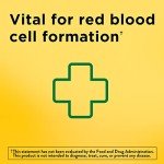 Nature Made Iron 65 mg (325 mg Ferrous Sulfate) Tablets, Dietary Supplement for Red Blood Cell Support, 180 Tablets, 180 Day Supply (Pack of 2)