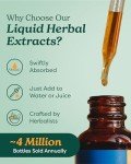 Herb Pharm Asian (Panax) Ginseng Liquid Extract for Energy and Stamina Support - 1 Ounce