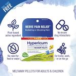 Boiron Hypericum Perforatum 30C Homeopathic Medicine for Relief from Nerve Pain, Toothaches, Pain in Legs or Back, and Shooting Pains - 3 Count (240 Pellets)