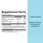 ANCIENT NUTRITION Iron, 30 CT