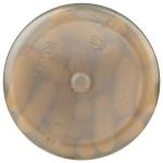 Solaray - B-Complex, 100 mg, 100 capsules