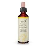 Bach Original Flower Remedies, Hornbeam - Procrastinate Less - Natural Homeopathic Flower Essence for Emotional Balance - Vegan, Gluten Free, Sugar Free - 20mL Dropper