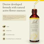 Bach Original Flower Remedies, Hornbeam - Procrastinate Less - Natural Homeopathic Flower Essence for Emotional Balance - Vegan, Gluten Free, Sugar Free - 20mL Dropper