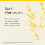 Bach Original Flower Remedies, Hornbeam - Procrastinate Less - Natural Homeopathic Flower Essence for Emotional Balance - Vegan, Gluten Free, Sugar Free - 20mL Dropper
