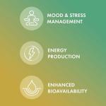 Dr. Mercola Vitamin B Complex with Benfotiamine - Supports Cellular, Brain & Immune Health - Non-GMO, Gluten-Free & Soy-Free - 180 Capsules (90 Servings)