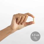 Dr. Mercola Vitamin B Complex with Benfotiamine - Supports Cellular, Brain & Immune Health - Non-GMO, Gluten-Free & Soy-Free - 180 Capsules (90 Servings)