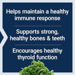 Life Extension Vitamins D and K with SeaIodine Bone Brain Thyroid Arterial Support Non GMO Once Daily Gluten Free, 60 Count