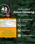 Herb Pharm Asian (Panax) Ginseng Liquid Glycerite for Energy and Stamina, Alcohol-Free Glycerite, 1 Oz