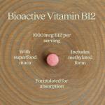 New Chapter Fermented Vitamin B12 1,000 mcg, USDA Organic, ONE Daily for Cellular Energy + Healthy Blood Cells, Certified Vegan, Gluten Free - 60 Count