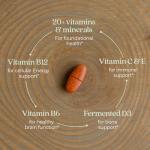 New Chapter Women’s Multivitamin 55+, Astaxanthin, B6, B12, D3, Vitamin C & Zinc, Immune, Heart, Cellular Energy, and Bone Support, Gentle on The Stomach, One Daily, Non-GMO, Gluten-Free, 72 Tablets