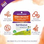 Boiron Sambucus Nigra 6c Homeopathic Medicine for Cough and Cold Relief - 3 Count (240 Pellets)