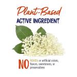 Boiron Sambucus Nigra 6c Homeopathic Medicine for Cough and Cold Relief - 3 Count (240 Pellets)