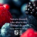 New Chapter Liquid Multivitamin + Mineral Supplement for Whole-Body Benefits, 100% Delicious Multivitamin for Adults, Teens & Kids 2+, Ready to Absorb Faster, Mixed Berry Flavored, 30 oz