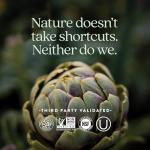 New Chapter Men's Multivitamin 50 Plus for Brain, Heart, Digestive, Prostate & Immune Support with 20+ Nutrients + Astaxanthin - Every Man's One Daily 55+, Gentle on The Stomach - 72 ct