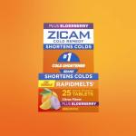 Zicam Cold Remedy Zinc RapidMelts, Elderberry Citrus Flavor, Homeopathic, Cold Shortening Medicine, Shortens Cold Duration, 25 Count