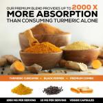 Turmeric Curcumin with BioPerine - 240 Capsules