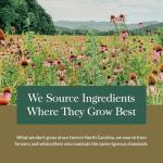 Echinacea Goldenseal Supreme, 1 fl oz (30 ml)