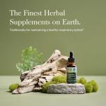 Echinacea Goldenseal Supreme, 1 fl oz (30 ml)