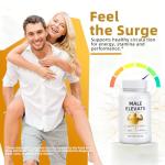 OQIV Male Enhancement Formula – Plant-Based Daily Support, Ginseng & Zinc – Helps Maintain Body Energy & Wellness |1 Box 60 Capsules