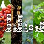 Hi-EnerG Triple Ginseng Energy Supplement, 500 mg, 20 servings