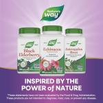 Nature's Way Echinacea Purpurea Capsules, Immune Support