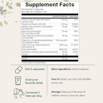 Micro Ingredients Pure Methylated B Complex, 240 Capsules | 11-in-1 Formula with Methylfolate, B12, Thiamin, Inositol, Choline, & Fat Soluble Vitamin C | Clean Ingredients Without Fillers | Non-GMO