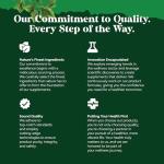 Saw Palmetto Capsules for Prostate & Hair Loss