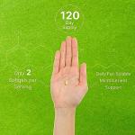 Vitamin E Supplements, 1,000 IU Per Serving, 240 Softgels – Extra Strength Antioxidant Protection – Bioavailable Stable Form – Skin, Heart, Brain, & Immune Support – Non-GMO