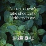 New Chapter Men's Multivitamin 40 Plus for Energy, Heart, Prostate + Immune Support with Fermented Nutrients - Every Man's One Daily 40+, Made with Organic Vegetables & Herbs, Non-GMO - 48 ct