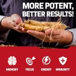 Herbtonics Korean Red Panax Ginseng 1500mg - Energy Supplement for Peak Performance, Focus & Vitality - High Potency Ginseng Root Extract - 240 Vegan Capsules