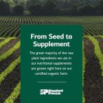 Standard Process Calcium Lactate Bone & Immune Health Dietary Support - Vegan, Gluten-Free, Non-Dairy, Non-Soy & Non-Grain - Bone, Joint & Health Support - 180 Tablets