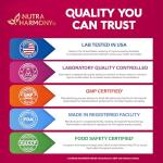 Vitamin B-Complex Gummies for Women & Men - Vitamin B12, B1, B2, B3, B5, B6, B7 & B9 - B Complex with Vitamin C & Choline - Energy, Brain & Mood - Natural Berry Flavor, Vegan - 60 Gummies for 2 Months