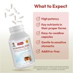 ANDREW LESSMAN Vitamin D3 5000 IU 60 Capsules - High Potency, Essential for Calcium Absorption, Supports Bone Health, Healthy Muscle Function, Immune System, More. Small Easy to Swallow Capsules