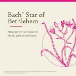 Bach Original Flower Remedies, Star of Bethlehem - Neutralize Grief - Natural Homeopathic Flower Essence for Emotional Balance - Vegan, Gluten Free, Sugar Free - 20mL Dropper
