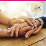 Bach Original Flower Remedies, Star of Bethlehem - Neutralize Grief - Natural Homeopathic Flower Essence for Emotional Balance - Vegan, Gluten Free, Sugar Free - 20mL Dropper