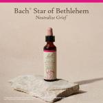 Bach Original Flower Remedies, Star of Bethlehem - Neutralize Grief - Natural Homeopathic Flower Essence for Emotional Balance - Vegan, Gluten Free, Sugar Free - 20mL Dropper
