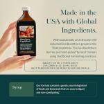 Gaia Herbs Plant Force Liquid Iron - Vegetarian Iron Supplement to Help Maintain Healthy Iron & Energy Levels - with Star Anise, Sea Buckthorn, Beet Root, Dandelion & Nettle - 16 Fl Oz (47 Servings)