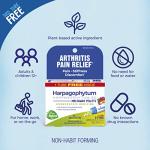 Boiron Harpagophytum 6C Homeopathic Medicine for Arthritis Pain Relief, Pain, Stiffness, Discomfort - 3 Count (240 Pellets)
