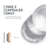 Vital Nutrients - American Ginseng - Energy Support - Mental and Physical Endurance - 100 Vegetarian Capsules per Bottle - 250 mg