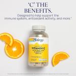 SOLARAY Vitamin C 1000mg - Time Release Vitamin C Capsules w/Rose HIPS and Acerola for Bioflavonoid Support - Two-Stage, All-Day Immune Support - Vegan, 60 Day Guarantee, 250 Servings, 250 VegCaps